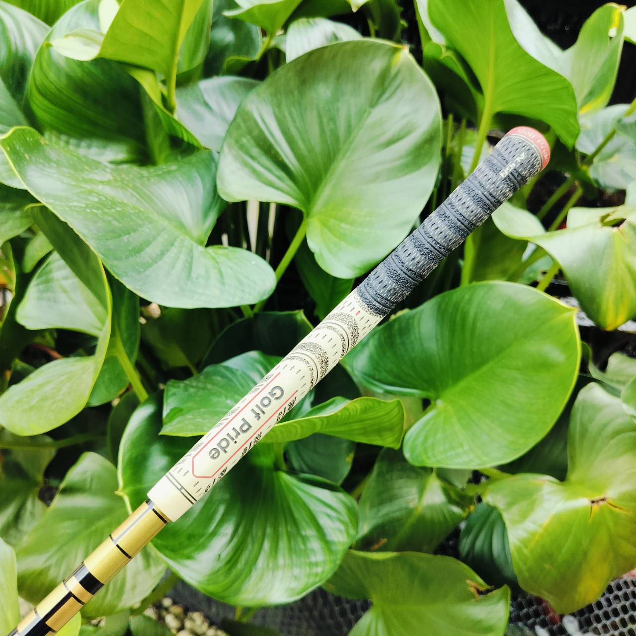 Driver Taylormade M1 460 ก้าน AUTO POWER 4S *** ก้านดีมาก แค่ก้านก็คุ้มแล้ว!!! เข้ากับหัวมาก ตีสนุกแบบสุดๆ สภาพสวยเดิม มี COVER เดิมแท้ ไม้กอล์ฟพรีเมี่ยมมือสอง ของแท้ By NakaraLuxurious
