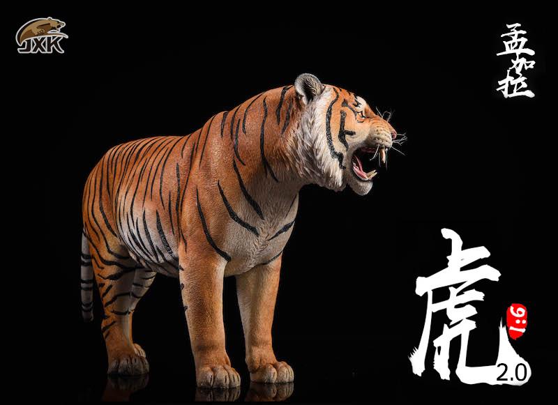 [สั่งจอง]JXK.Studio 1/6 JXK020A yellow Bengal tiger & JXK020B white Bengal tiger