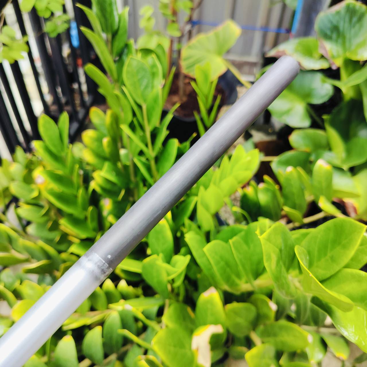 *** ก้านผู้หญิง +++ ก้านใส่หัวไม้ DECADE USA เป็นก้านสำหรับสปีดน้อย ของใหม่ ลดล้างสต๊อต!!! ความยาวเฉพาะก้าน 44 นิ้ว FLEX LITE LOW - KICK สปีด 60-75 ตีแบบสบายๆ