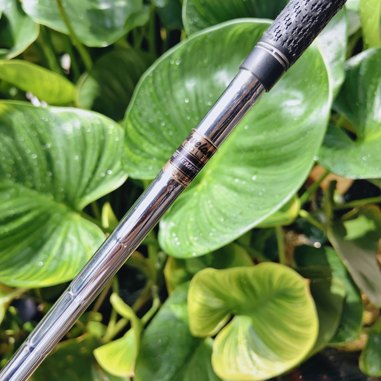 Cleveland REG.588 WEDGE องศา 53° | รุ่น DIADIC เวดจ์ระดับตำนาน ที่ยังคงเป็นขวัญใจนักกอล์ฟทั่วโลก