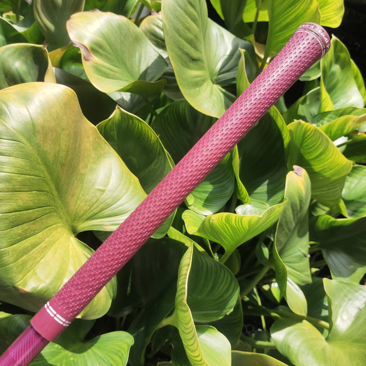 PING GLe2 HYBRID5 องศา26 ก้านเบาสุดๆ เติมเต็มความสุขให้กับท่านนักกอล์ฟสุภาพสตรีโดยแท้จริง