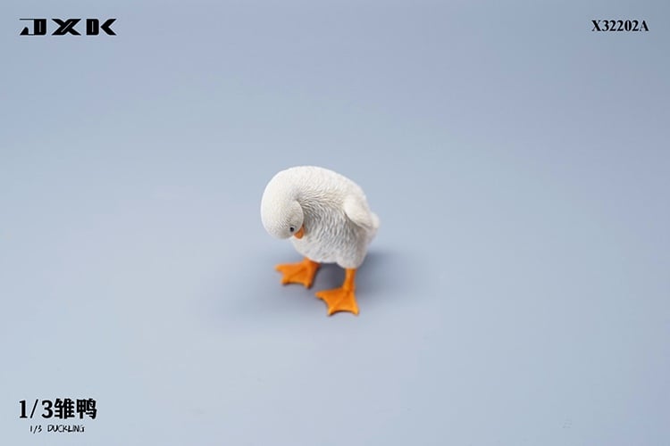 [สั่งจอง]JXK : Scottish Fold/Chckling/Duckling