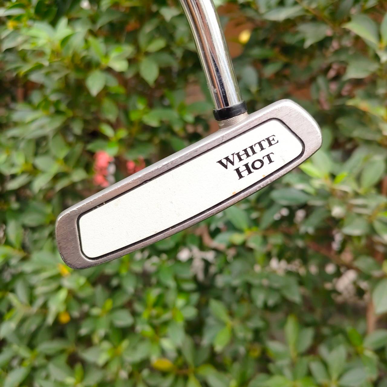 PUTTER ODYSSEY WHITE HOT #5 ความยาว 34 นิ้ว หน้านุ่ม ซาลาเปา พัตต์ง่ายมากๆ มีเส้นเล็ง แม่นๆครับ