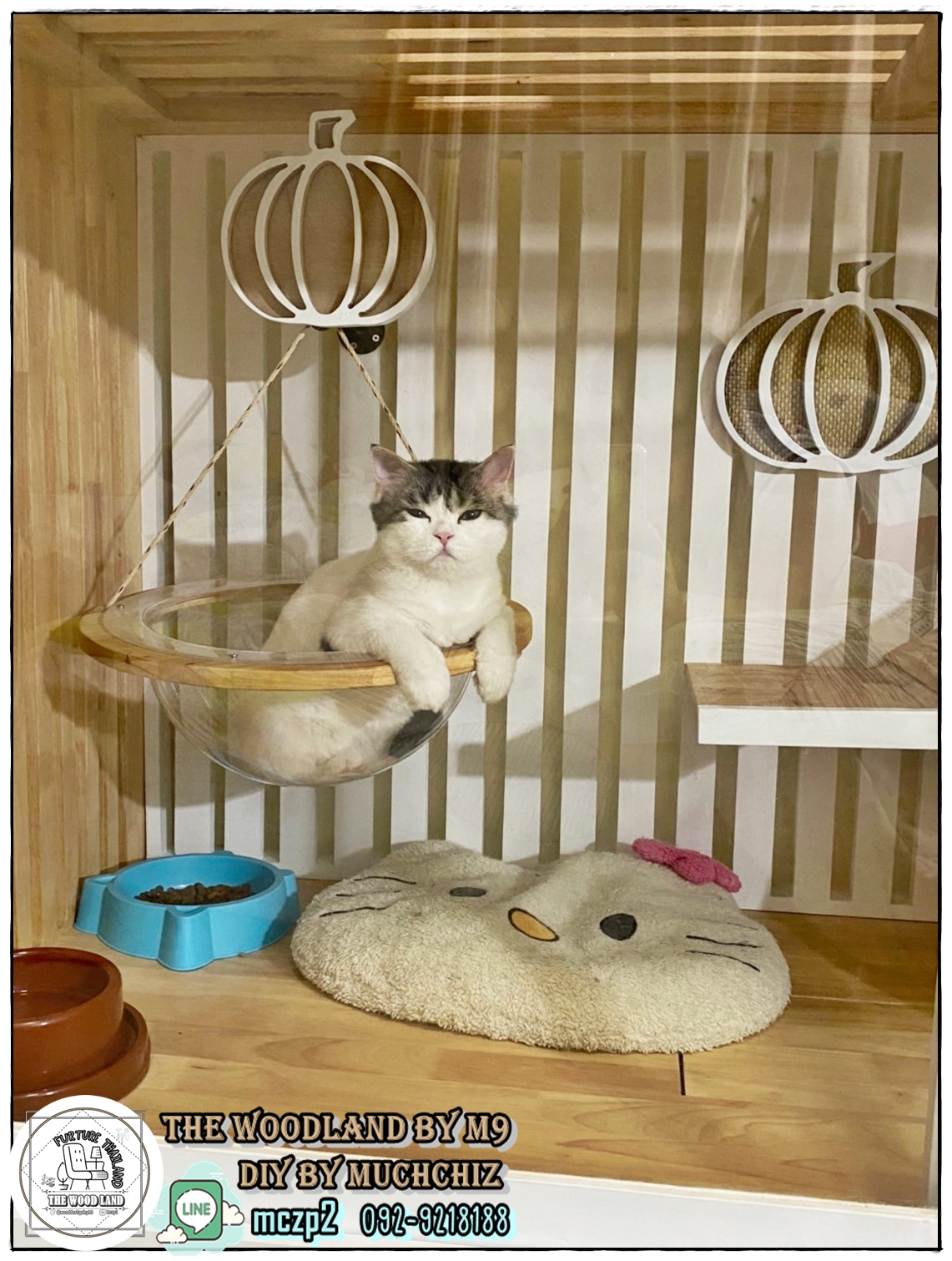 ส่งฟรีทั่วประเทศ🚚#สัตว์เลี้ยง#เฟอร์นิเจอร์แมว🏚️🐱บ้านน้องแมว*คอนโดแมว*CatVilla *ตู้แมว งานสั่งทำ*สินค้าไม่ใช่งานจีน