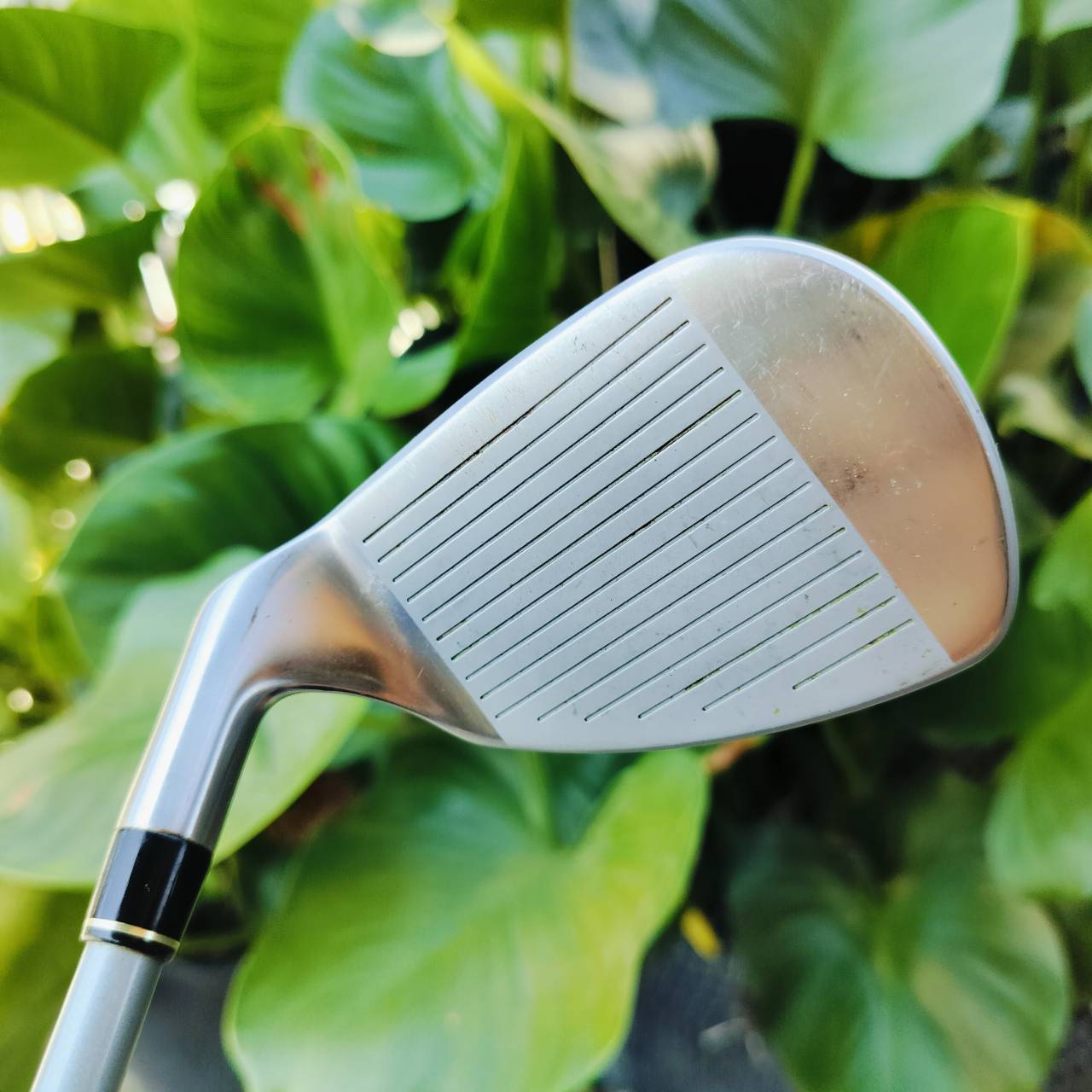 WEDGE PRGR R55 พรีเมี่ยมญี่ปุ่น แก้ไขปัญหาคนที่ชิพไม่ได้ แก้ไข ชิพฉึก ชิพแชงค์ สุด!!! ตีง่ายสุดๆ สำหรับคนมีปัญหาลูกสั้น ไม้กอล์ฟพรีเมี่ยมมือสอง ของแท้ By NakaraLuxurious