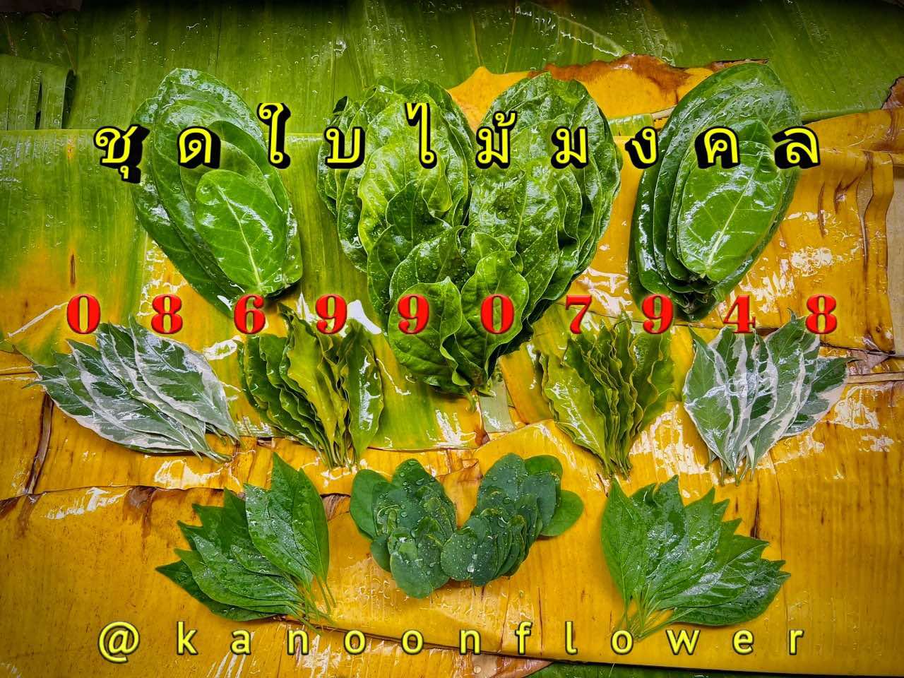 ใบไม้มงคล (พิธี)