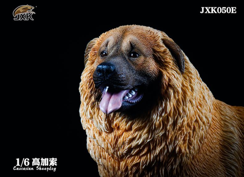 [สั่งจอง]JXK JXK050 1/6 : Caucasian Sheepdog
