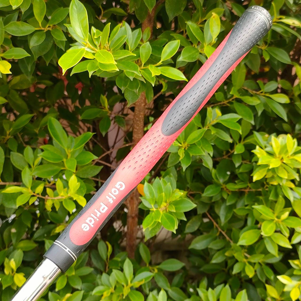 ชุดเหล็ก TOURSTAGE MR-23 U.S. BLADE FORGED มีเหล็ก 5-9 เเละ PW ก้าน DYNAMIC GOLD S400 สุดยอดแห่งความพรีเมี่ยม!! ไม้กอล์ฟมือสอง ของแท้ BY NakaraLuxurious