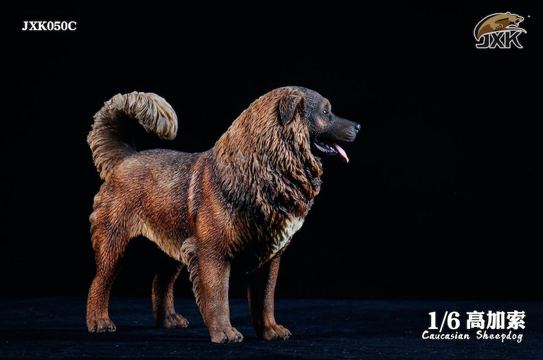 [สั่งจอง]JXK JXK050 1/6 : Caucasian Sheepdog