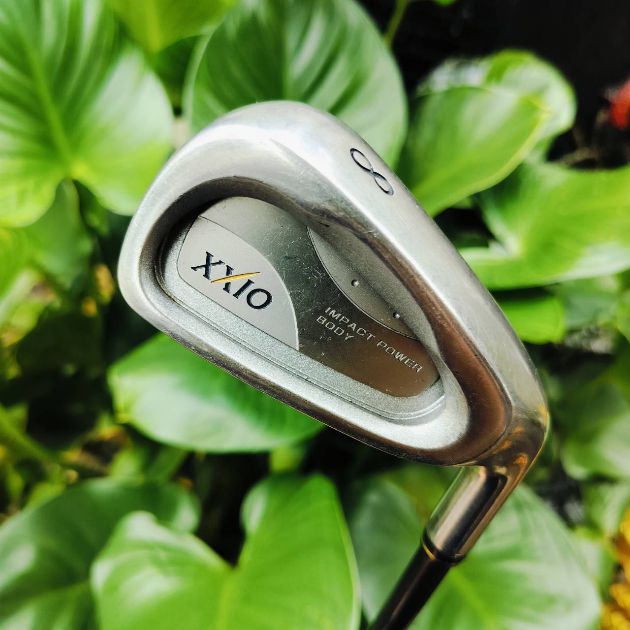 เหล็ก 8 XXIO หน้าเด้ง!!! IMPACT POWER BODY ก้าน MP300 FLEX R ตีไกลมากกว่าเหล็กทั่วไป และตีง่ายมาก CAVITY ลึก วัสดุพรีเมี่ยมญี่ปุ่น ฟีลลิ่งดีมาก ไม้กอล์ฟพรีเมี่ยมมือสอง ของแท้ By NakaraLuxurious