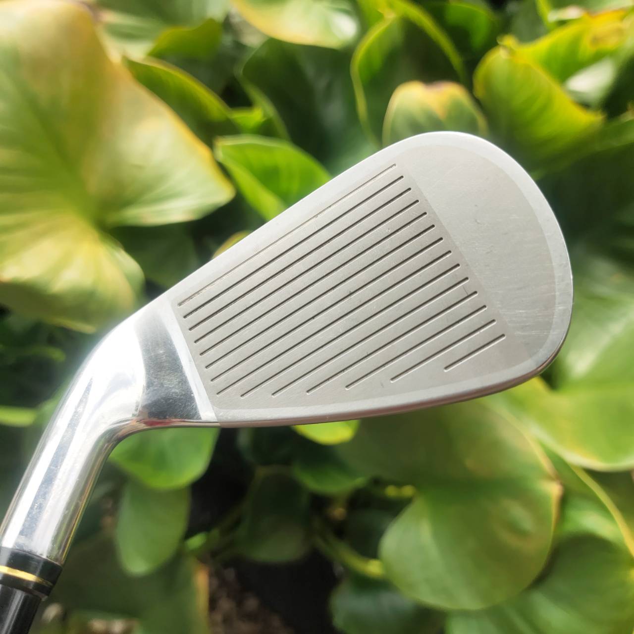 XXIO PRIME SP600 ที่สุดของความหรูหราในวงการกอล์ฟ ชุดนี้ของใหม่เกือบแสน!!!