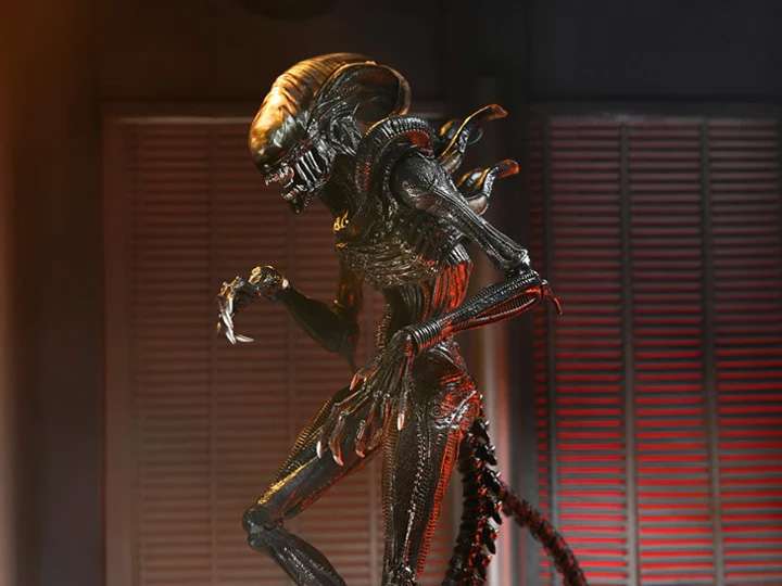 [สั่งจอง] Neca : Alien - Romulus
