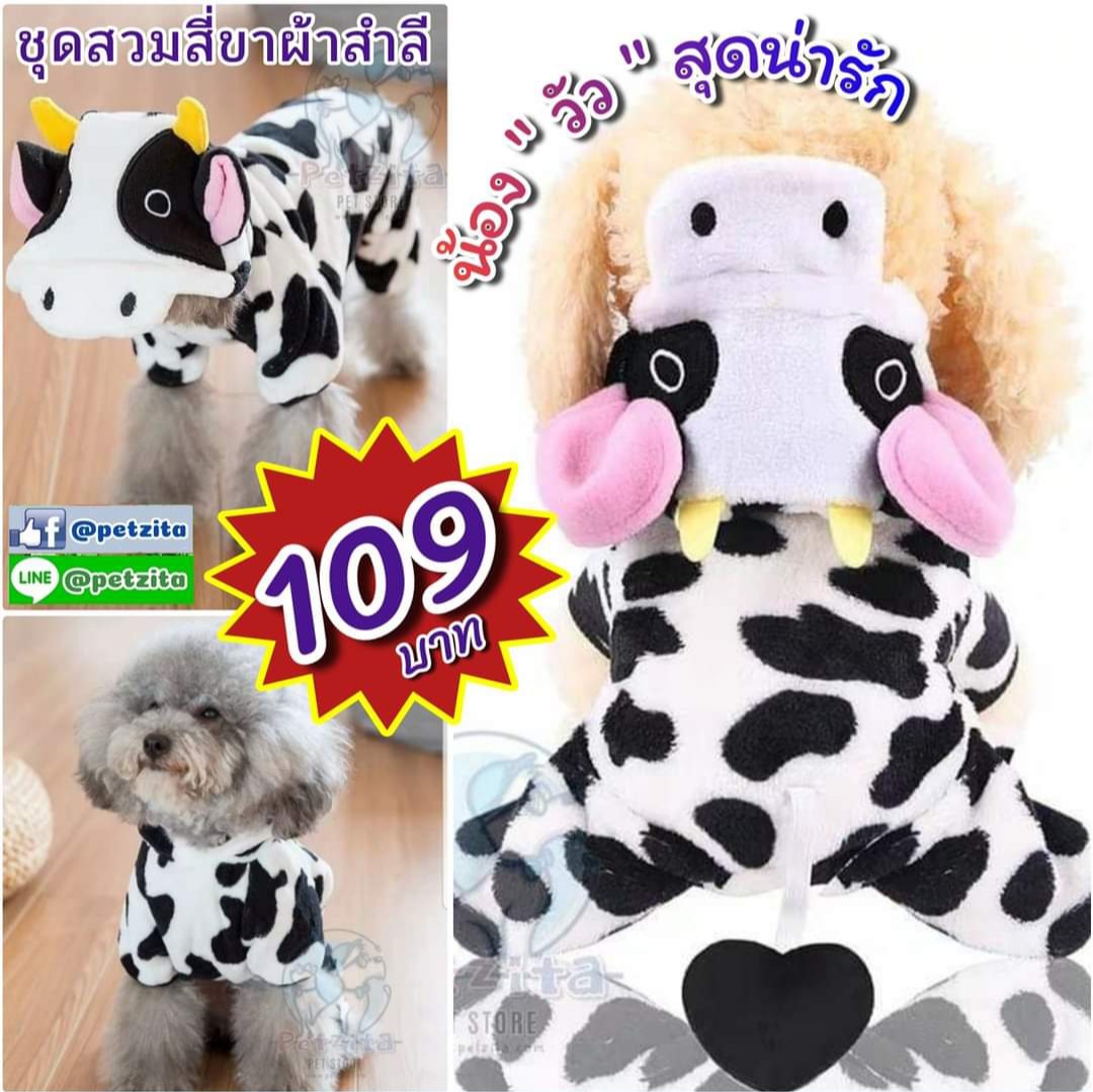 🇹🇭พร้อมส่ง🇹🇭ชุดสี่ขา 🐄 น้องวัวขาวดำ สุดน่ารัก 🐄 for pet ชุดสุนัข ชุดหมา ชุดแมว
