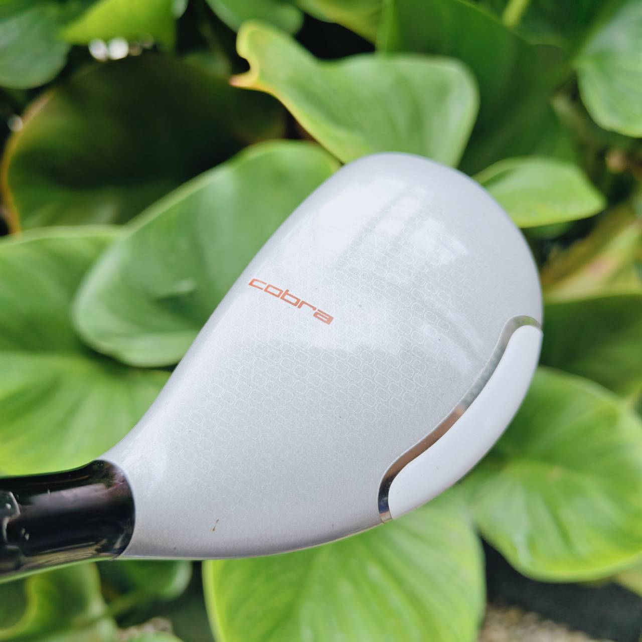 UT3+ COBRA AMP CELL FLEX R ไฮบริดสุดล้ำที่รวมทุกเทคโนโลยีของ Cobra เพื่อพลัง + ความแม่นยำในทุกช็อต