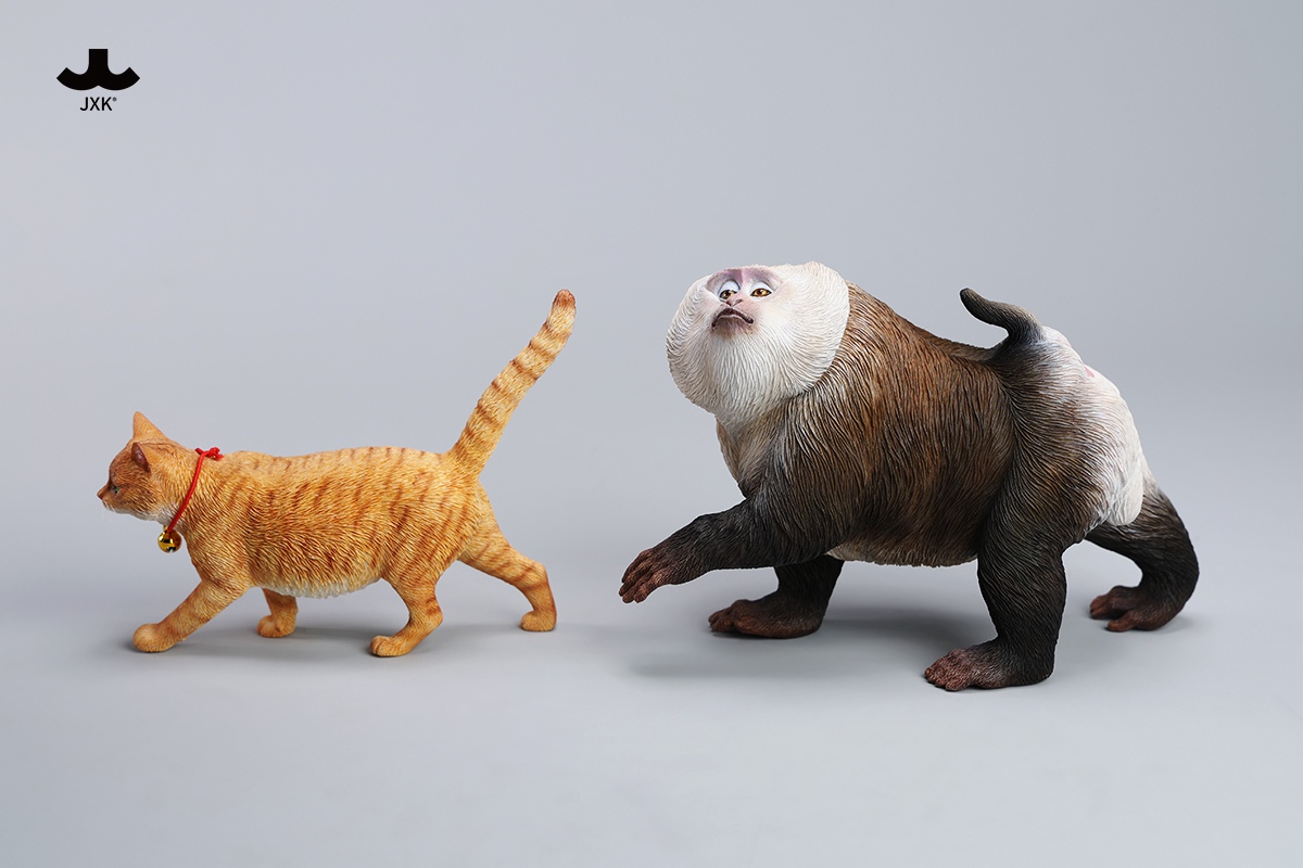 [สั่งจอง]JXK JXK250 1/6 : Northern Pigtail Macaque Figurine