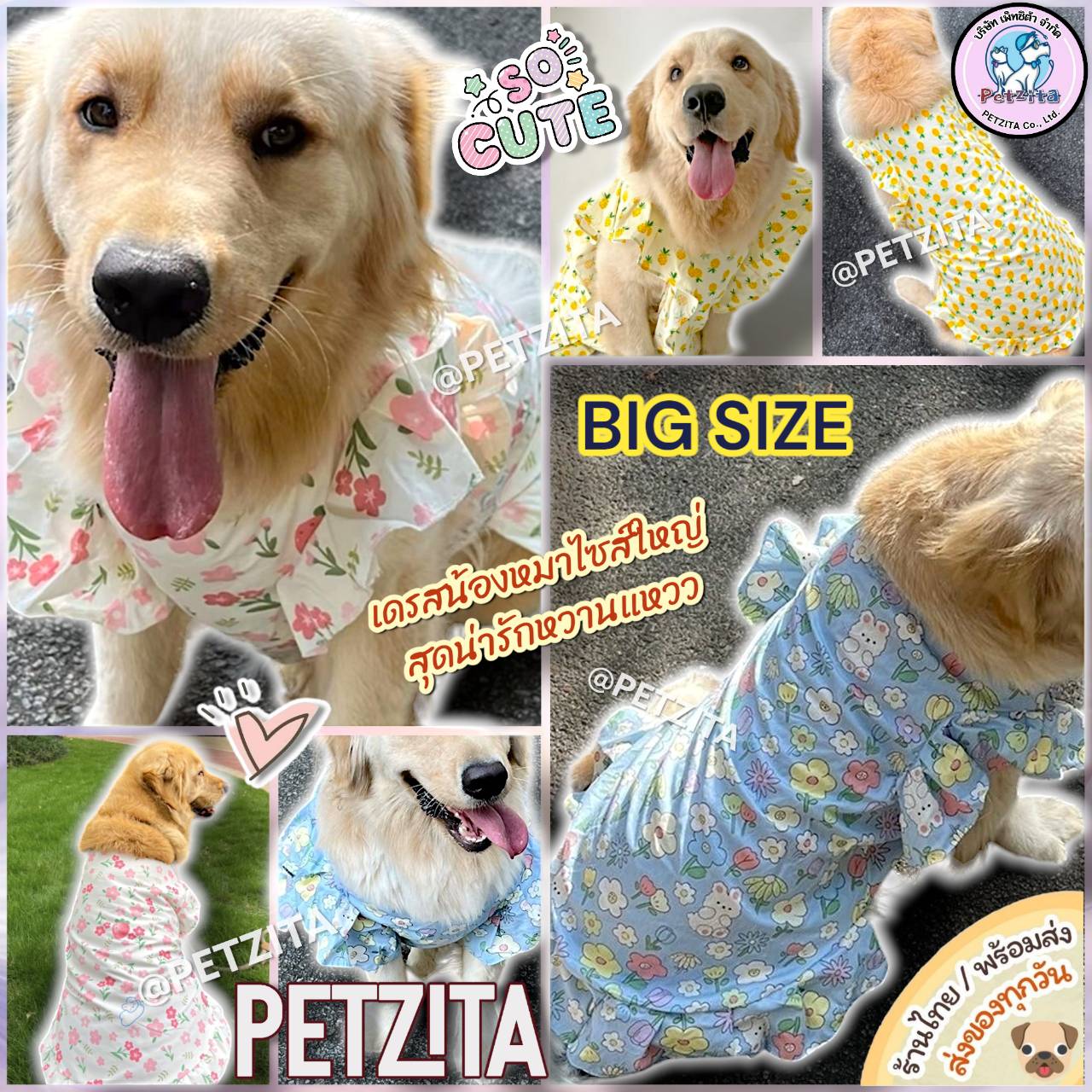 🇹🇭พร้อมส่ง🇹🇭 🌸🌼🩷 BIG SIZE เดรสหมาใหญ่ ลายน่ารักหวานแหวว ชุดสุนัขพันธุ์ใหญ่