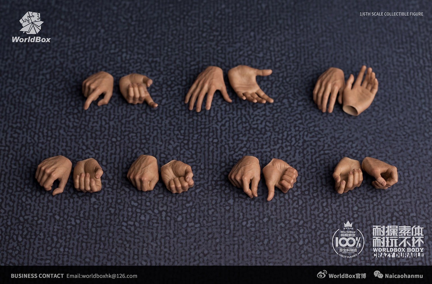 [สั่งจอง]Worldbox WB-HAND 1/6 : NEWLY HAND SCULPT 2.0