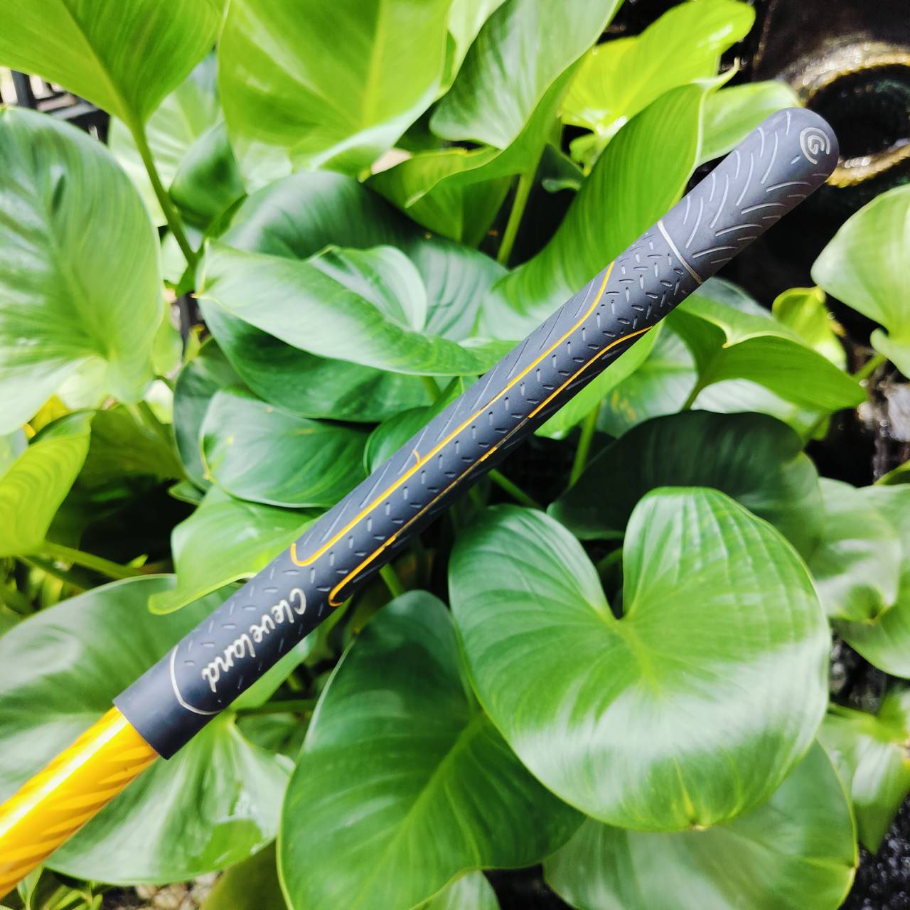 FW5 Cleveland Hi-Bore XLS ก้าน FUJIKURA FIT-ON M GOLD FLEX S รุ่นนี้กระดองปาดลง ทำให้จุด CG มาอยู่ต่ำ ทำให้ตีลอยง่ายมากๆ ไม้กอล์ฟพรีเมี่ยมมือสอง ของแท้ By NakaraLuxurious
