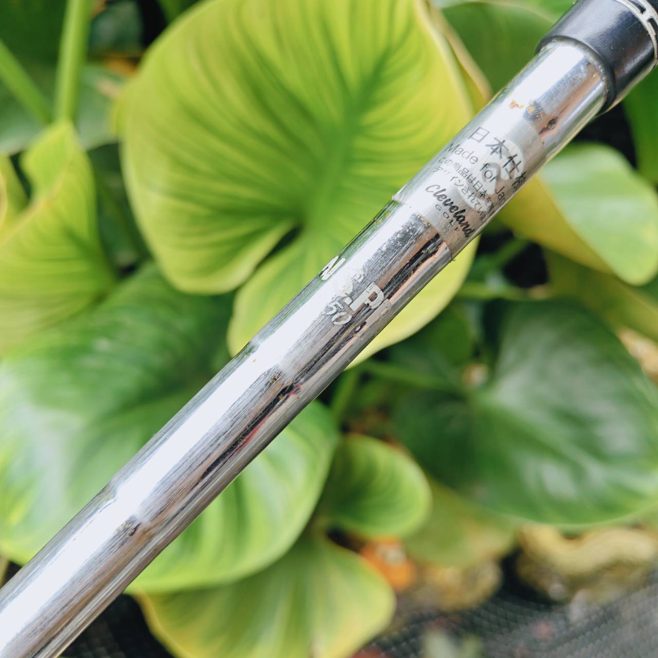 WEDGE CG12 ZIP GROOVE 56° BOUNCE 10 – ช็อตรอบกรีนแม่นยำ เหมาะระเบิดทราย!