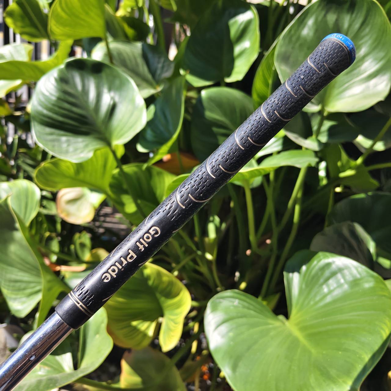 WEDGE สปินโหดๆ CLEVELAND CG12 • Loft 56° • ZIP GROOVE รุ่นร่องสี่เหลี่ยม!