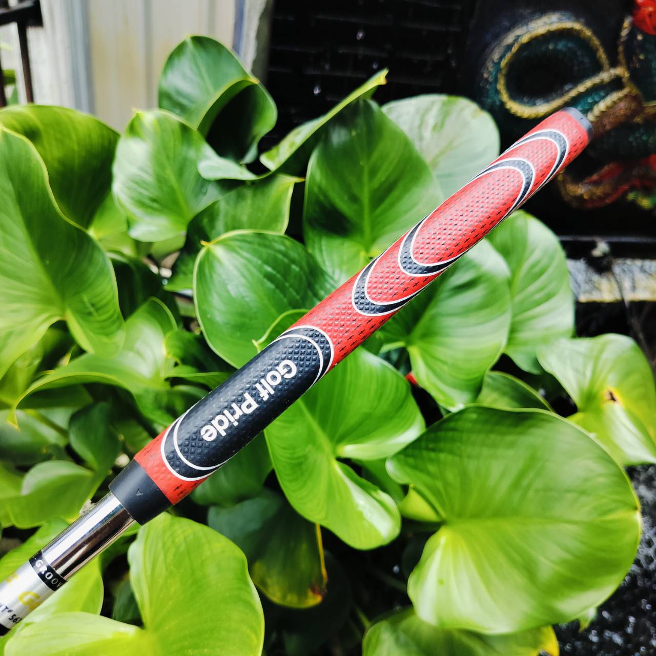 PUTTER YES C-GROOVE DONNA ความยาว 33 นิ้ว รุ่นนี้โด่งดังเพราะ SOLE ยื่นออกเพิ่ม ทำให้การชดเชยความผิดพลาดสูงขึ้น หน้าสัมผัสสุดยอดเกาะไลน์เป็นเอกลักษณ์ เส้นเล็งสะอาดตาแม่นยำอย่างมาก ไม้กอล์ฟพรีเมี่ยมมือสอง ของแท้ By NakaraLuxurious