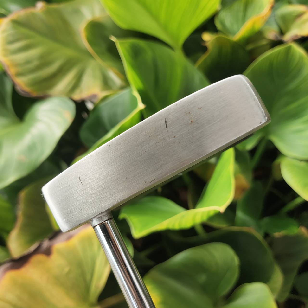 PUTTER CRAIGTON OF Scotland ความยาว 34 นิ้ว ทรงมอลเล็ตใหญ่ HIGH M.O.I.