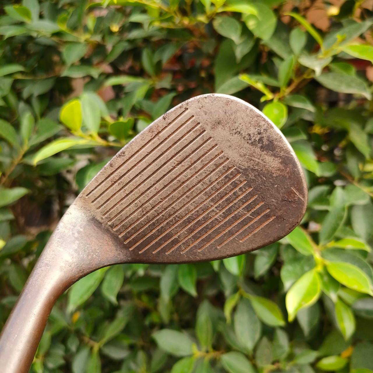 WEDGE CLEVELAND REG.588 องศา 60 ก้าน FCM FLEX WEDGE WEDGE สนิม สปินแบบจัดๆ รุ่นยอดนิยมสูงสุดของ Cleveland