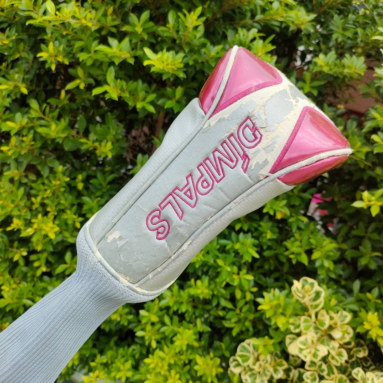 *ไม้กอล์ฟสำหรับผู้หญิง* DRIVER KASCO DIMPALS EL องศา 12 ก้าน DIMPALS FLEX L ** มาพร้อม COVER ตรงรุ่น ** สุดยอด Driver พรีเมี่ยมญี่ปุ่น!! ไม้กอล์ฟมือสอง ของแท้ BY NakaraLuxurious