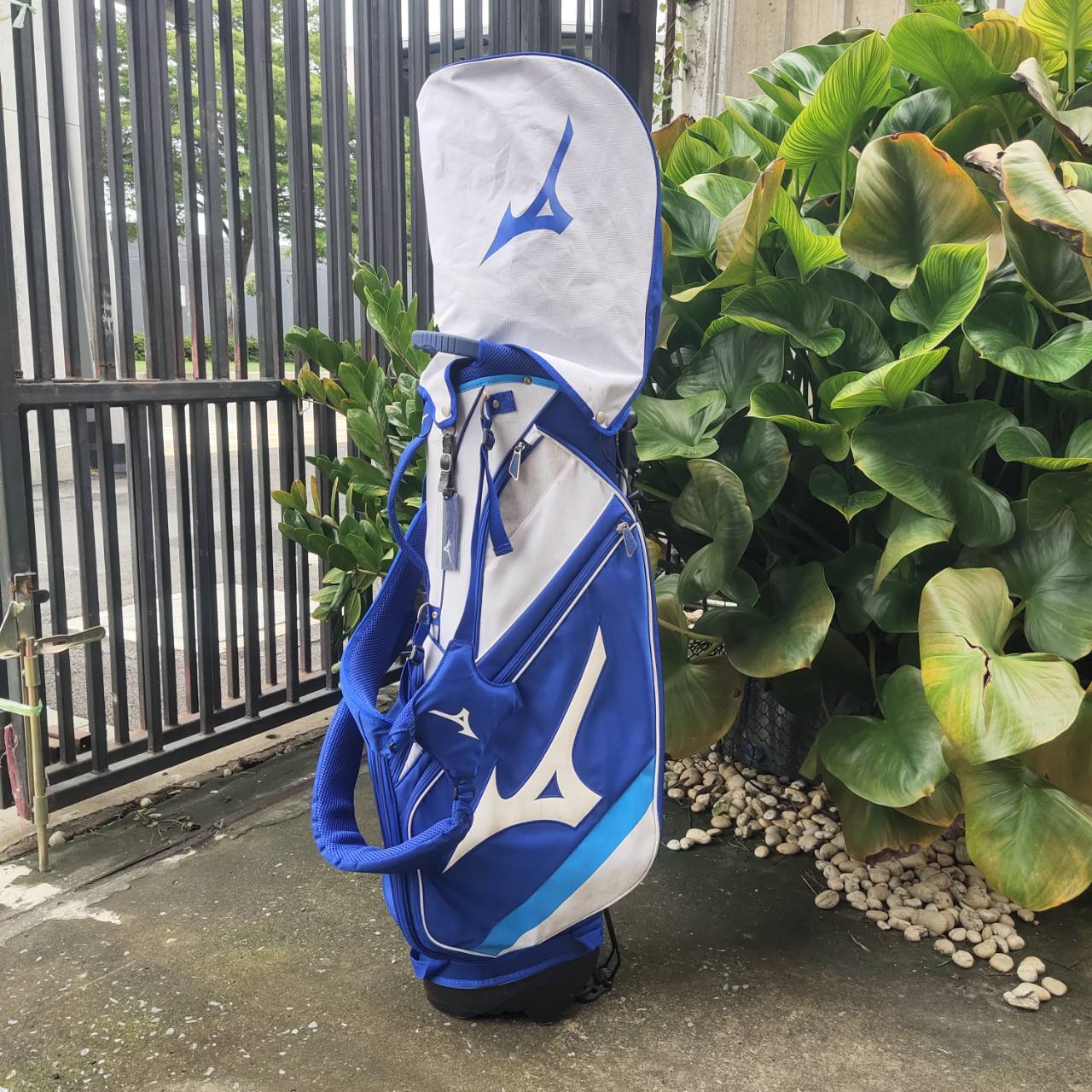 ถุงกอล์ฟ MIZUNO ขาตั้ง ของแท้ มือสอง! สีสวยสะดุดตา เอกลักษณ์ของ MIZUNO เห็นแล้วรู้เลย