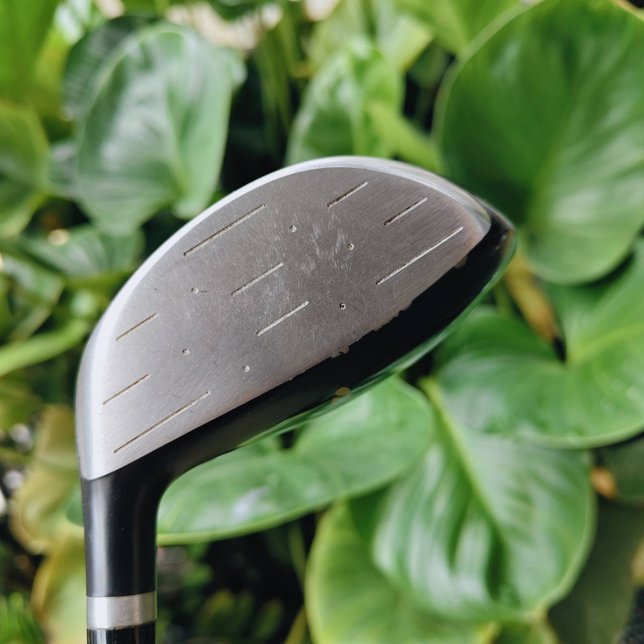 HONMA BERES MG711 5W (18°)⭐⭐⭐ สุดยอดแฟร์เวย์วูดระดับพรีเมียมจากญี่ปุ่น 🇯🇵