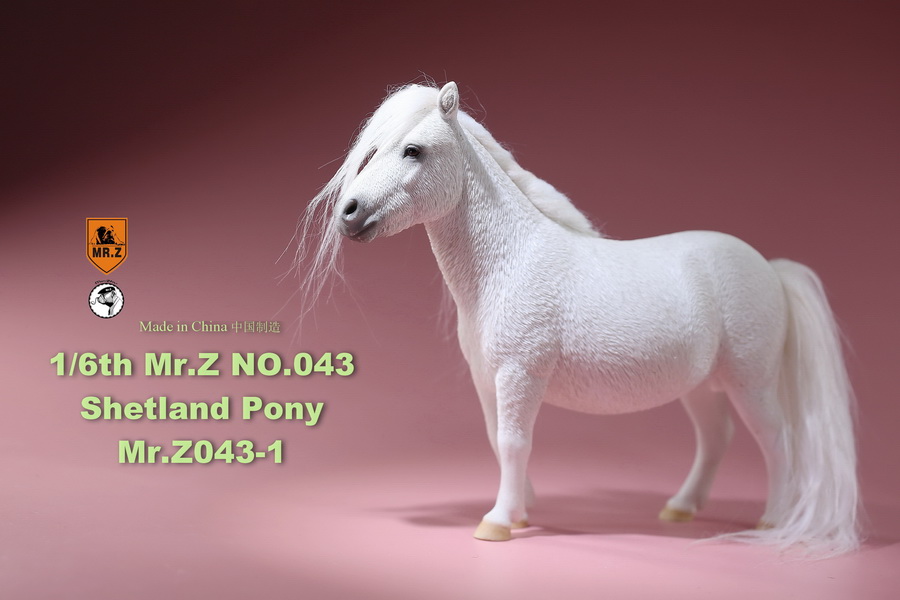 [สั่งจอง]น้องม้าน้อยโพนี่ 1/6 MR. Z Animal Model MRZ043 1/6th Shetland Pony(all 5 colors)