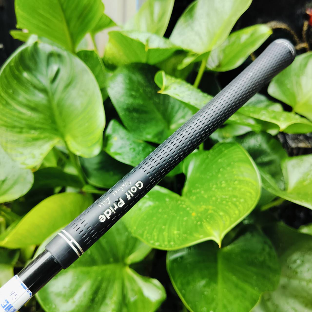 FW5 MARUMAN SHUTTLE รุ่น i4000X หน้าเด้ง MARAGING ก้าน WLT TYPE 08F FLEX R ก้านสุดพรีเมี่ยมจากญี่ปุ่น ไม้กอล์ฟพรีเมี่ยมมือสอง ของแท้ By NakaraLuxurious
