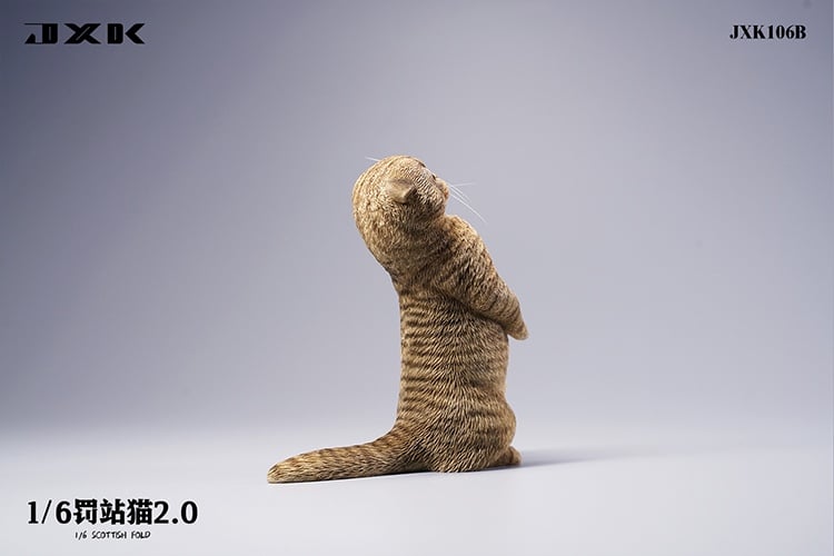 [สั่งจอง]JXK : Scottish Fold/Chckling/Duckling