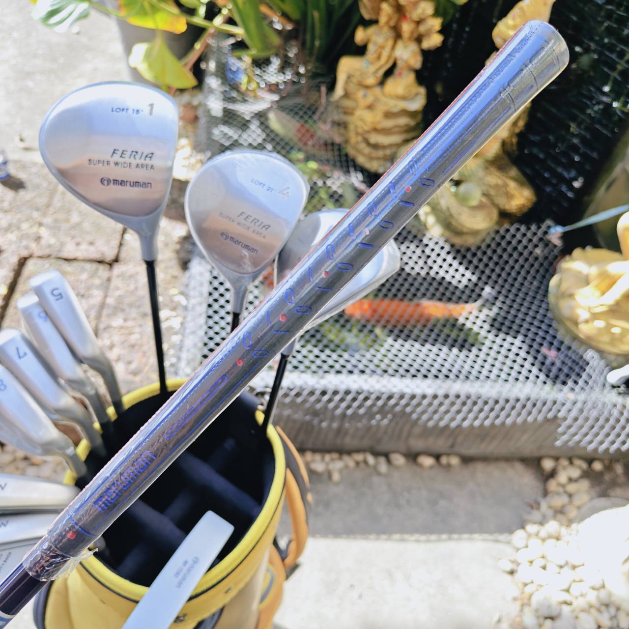 ชุดไม้กอล์ฟผู้หญิง Maruman Féria 🌸 – ของดีจากญี่ปุ่น!