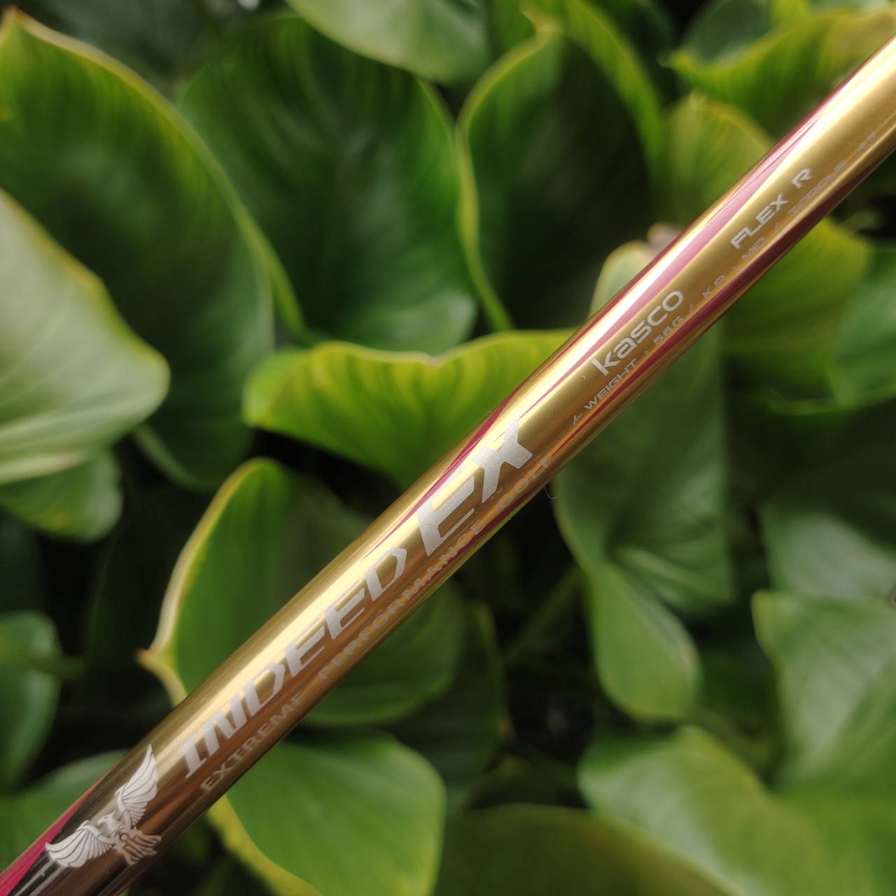 AW KASCO INDEED EX MARAGING!!! หน้าเด้งจัดๆ ตีง่ายมาก