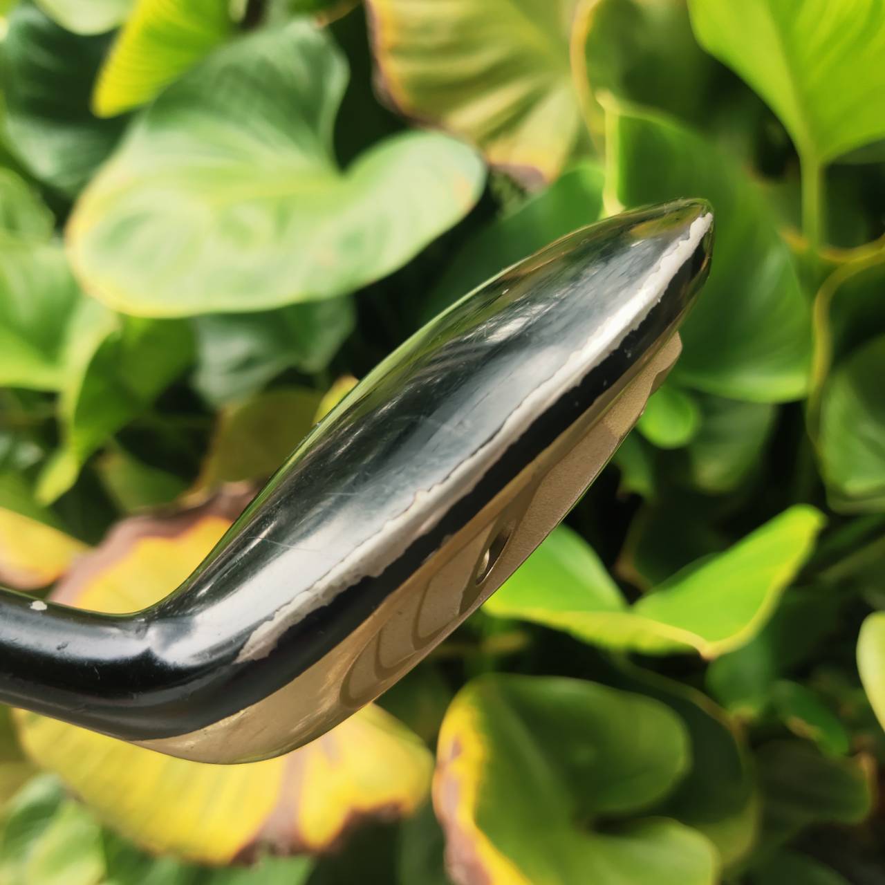 3W VOLTIO สีทอง หรูจัด ตีไกลสุด ๆ เหมาะสำหรับท่านที่สปีดน้อย ต้องการเพิ่มระยะ