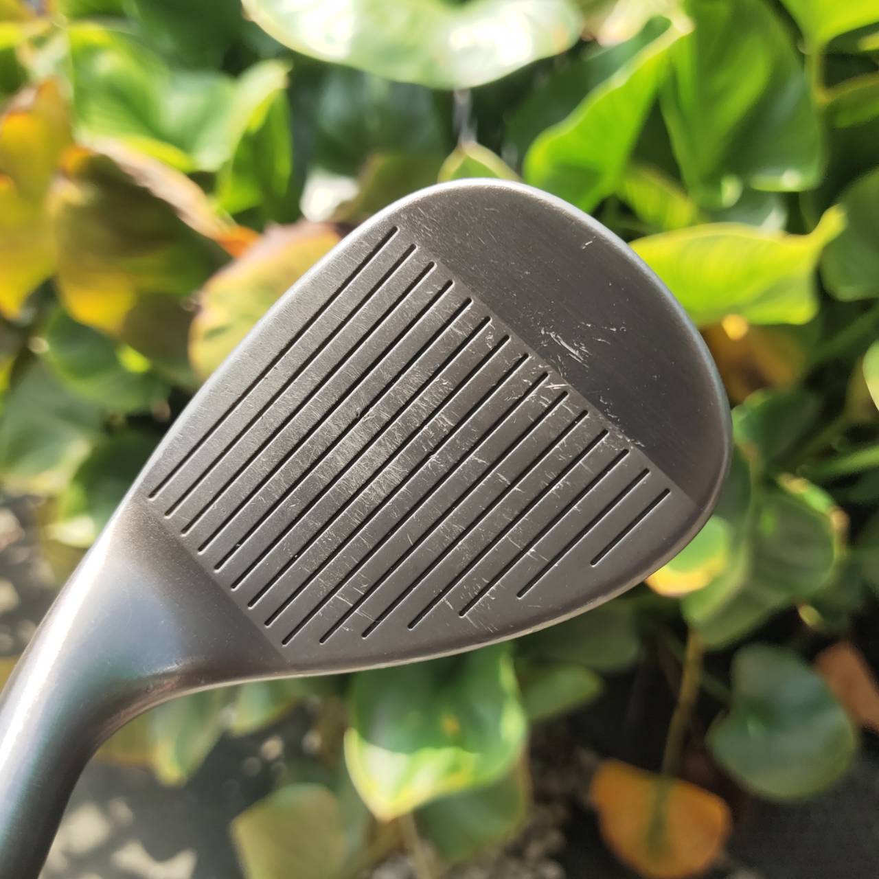 WEDGE Cleveland CG10 54° Low Bounce หน้าไม้ Carbon Metal Matrix ให้ฟีลนุ่ม และสร้างสปินสูง