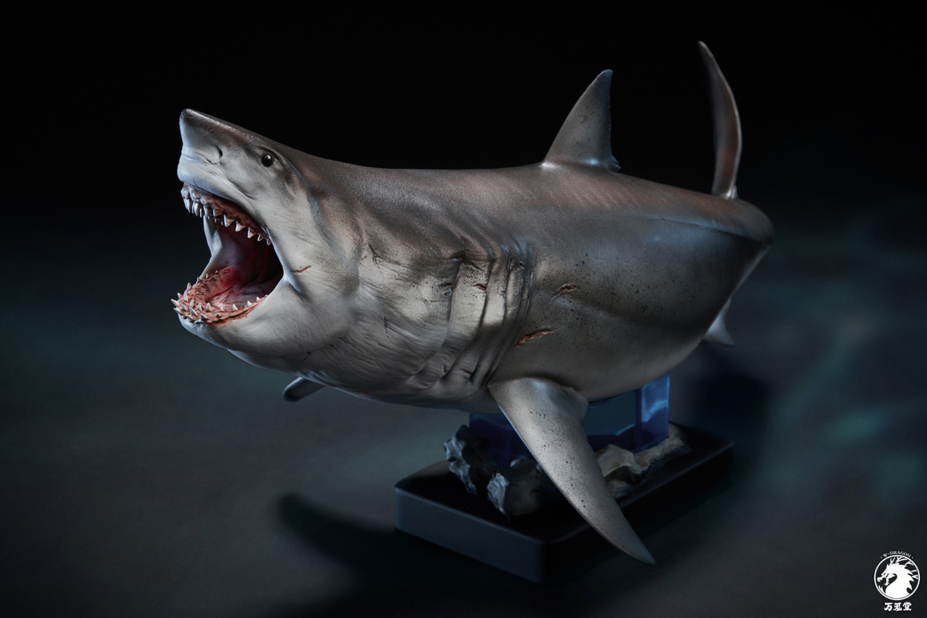 [สั่งจอง]W-Dragon 1/18 : Great White Shark
