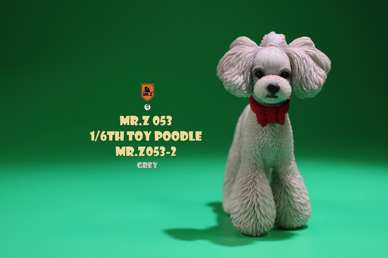 [สั่งจอง]Mr.Z MRZ053 animal model 1/6 : Toy Poodle