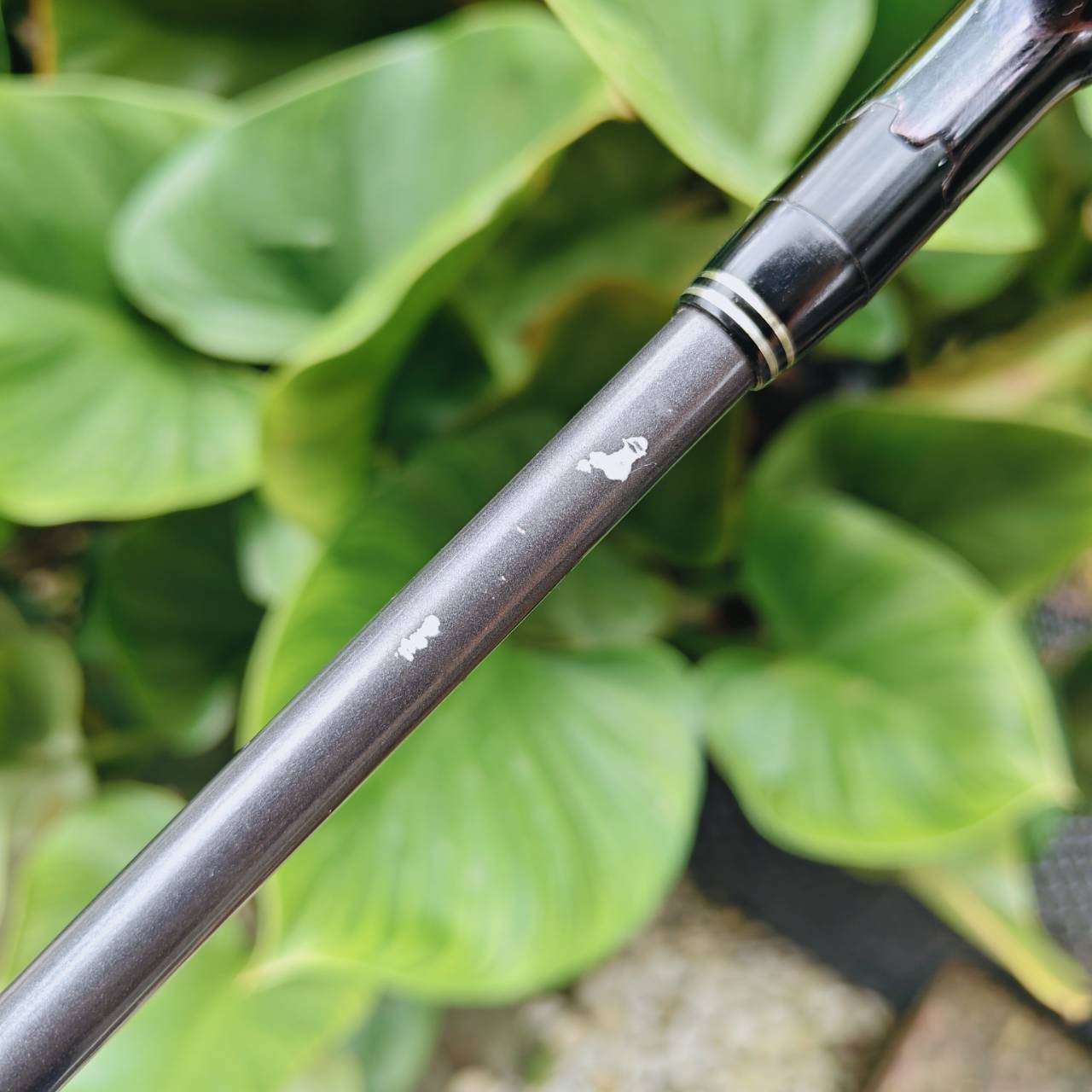 UT3+ COBRA AMP CELL FLEX R ไฮบริดสุดล้ำที่รวมทุกเทคโนโลยีของ Cobra เพื่อพลัง + ความแม่นยำในทุกช็อต