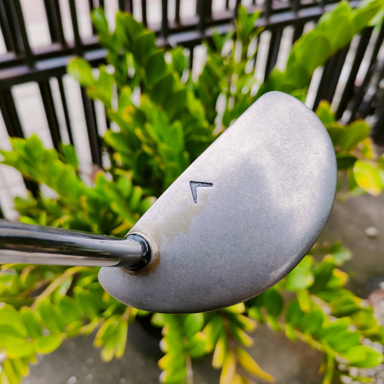 พัตเตอร์ Callaway TUTTLE พัตเตอร์หลังเต่าในตำนาน ก้านเสียบทะลุสวยๆ ได้ฟีล หาเก็บกันอย่างต่อเนื่อง ความยาว 35 นิ้ว ไม้กอล์ฟพรีเมี่ยมมือสอง ของแท้ By NakaraLuxurious