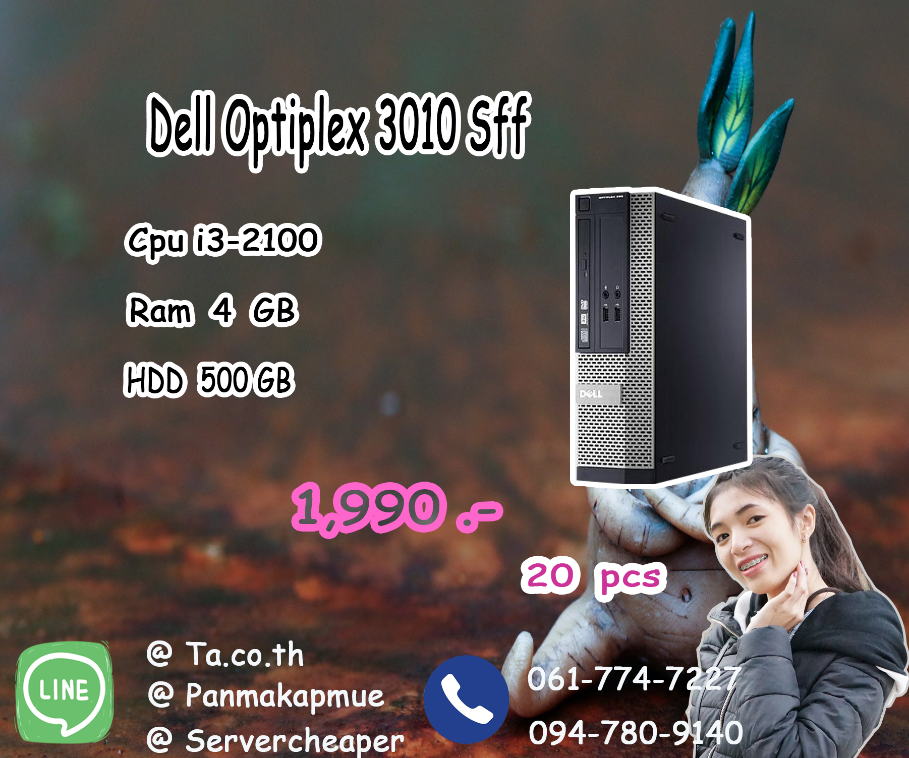 Dell Optiplex 3010 SFF