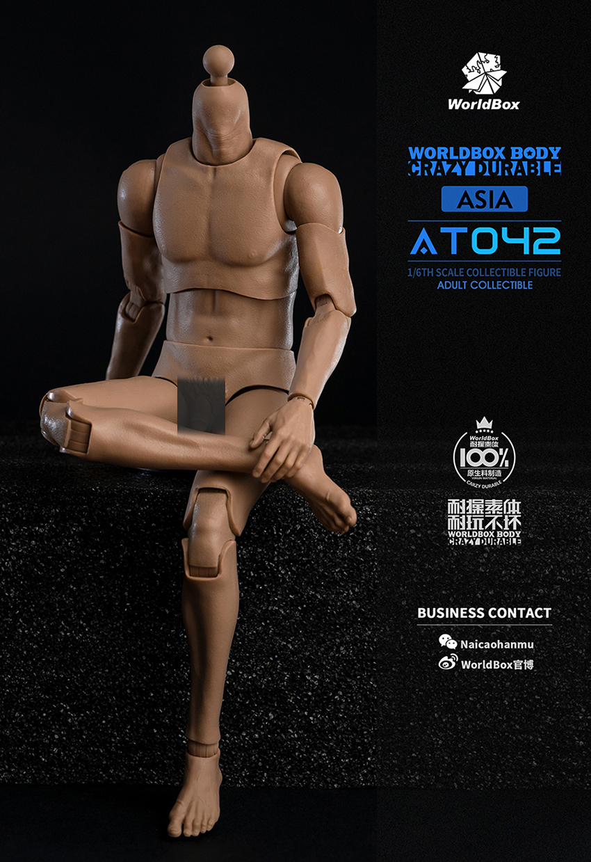 [สั่งจอง]Worldbox AT042 1/6 : Durable Body