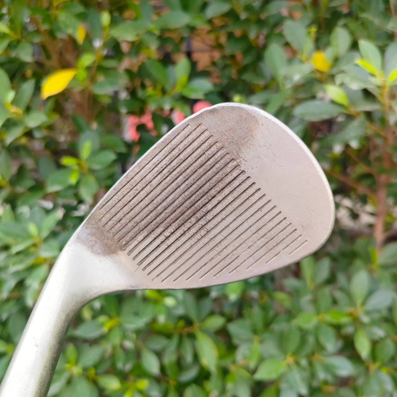 WEDGE CALLAWAY V FORGED องศา 60 BOUNCE 10 FLEX WEDGE วัสดุ FORGED แน่นๆ สปินดี ของดีครับ