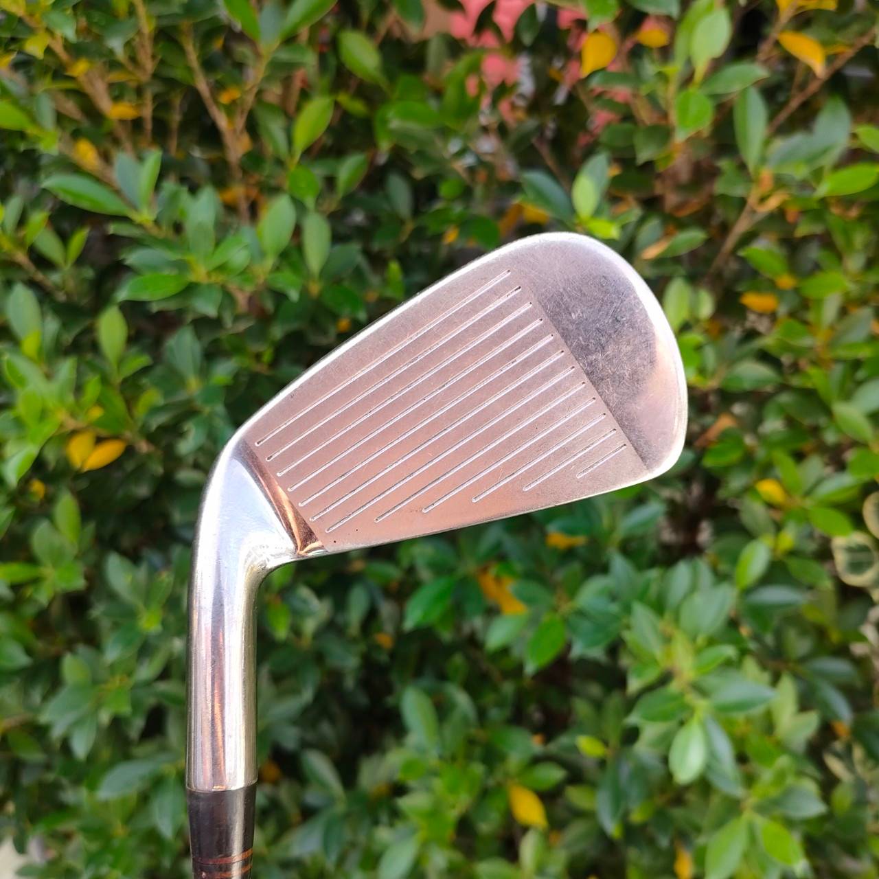 เหล็ก 3 SUPER SUN REX JOY ก้าน MACHO SV ตีง่าย สปินดี