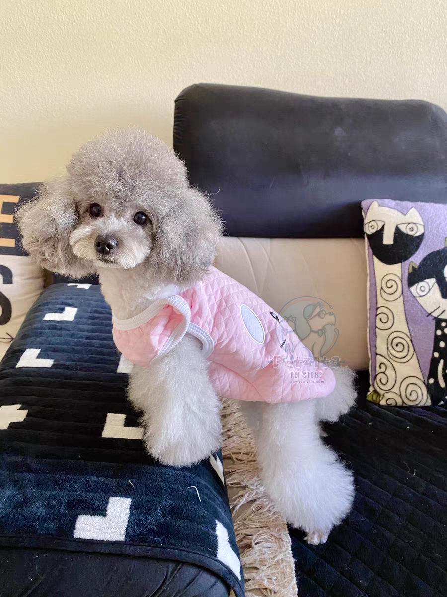🇹🇭พร้อมส่ง🇹🇭 💗🌈 เสื้อกั๊ก สุดน่ารัก ผ้านุ่มนิ่ม สไตล์ญี่ปุ่น 🇯🇵 for pet สุนัข หมา แมว