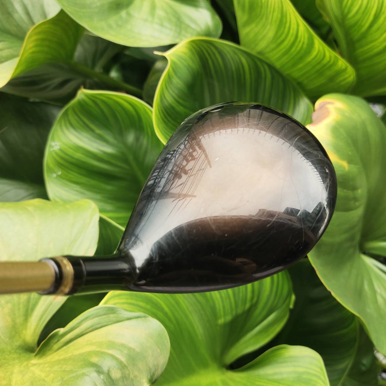 FW5 VOLTIO II G Hi GOLD รุ่น Hi หน้าเด้งมาก!!! รุ่น G มีออฟเซ็ตแก้ไขปัญหาตีเฟด