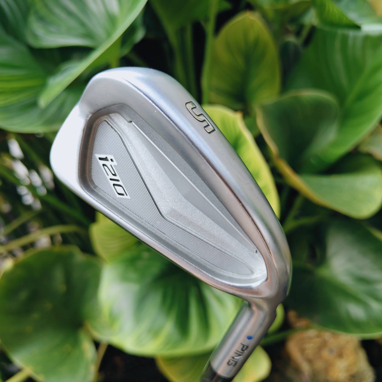 PING i210 – ชุดเหล็กยอดนิยมจาก Tour ที่ให้ฟีลนุ่มสุดใจ และควบคุมได้ดั่งใจคิด 🏆