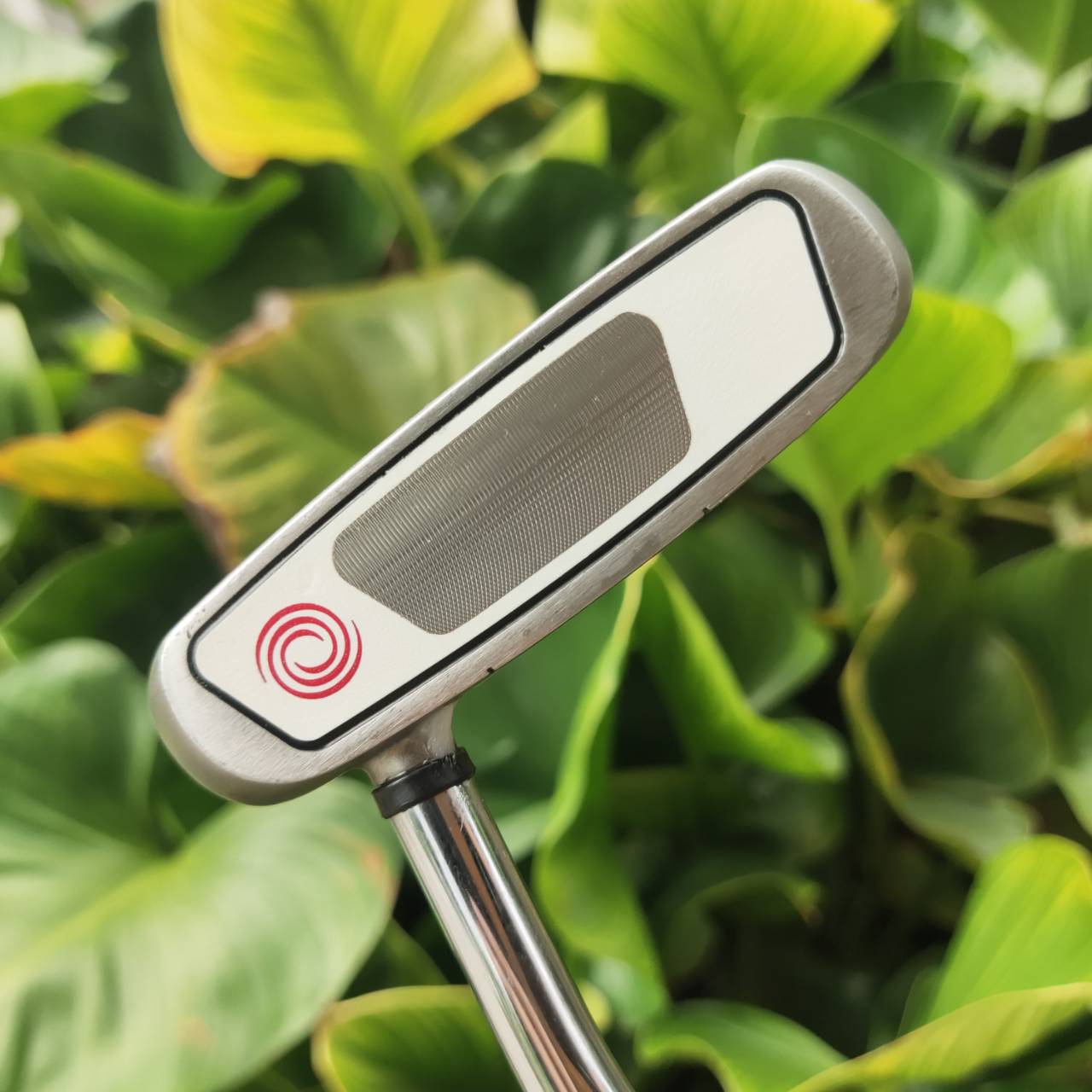 PUTTER ODYSSEY 2-BALL WHITE STEEL – 34” ⛳️ หน้าสัมผัสนุ่ม และเกาะไลน์แบบขั้นเทพ!