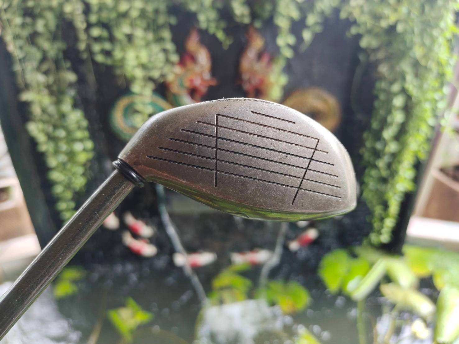 FW5 Callaway BIGBERTHAR
